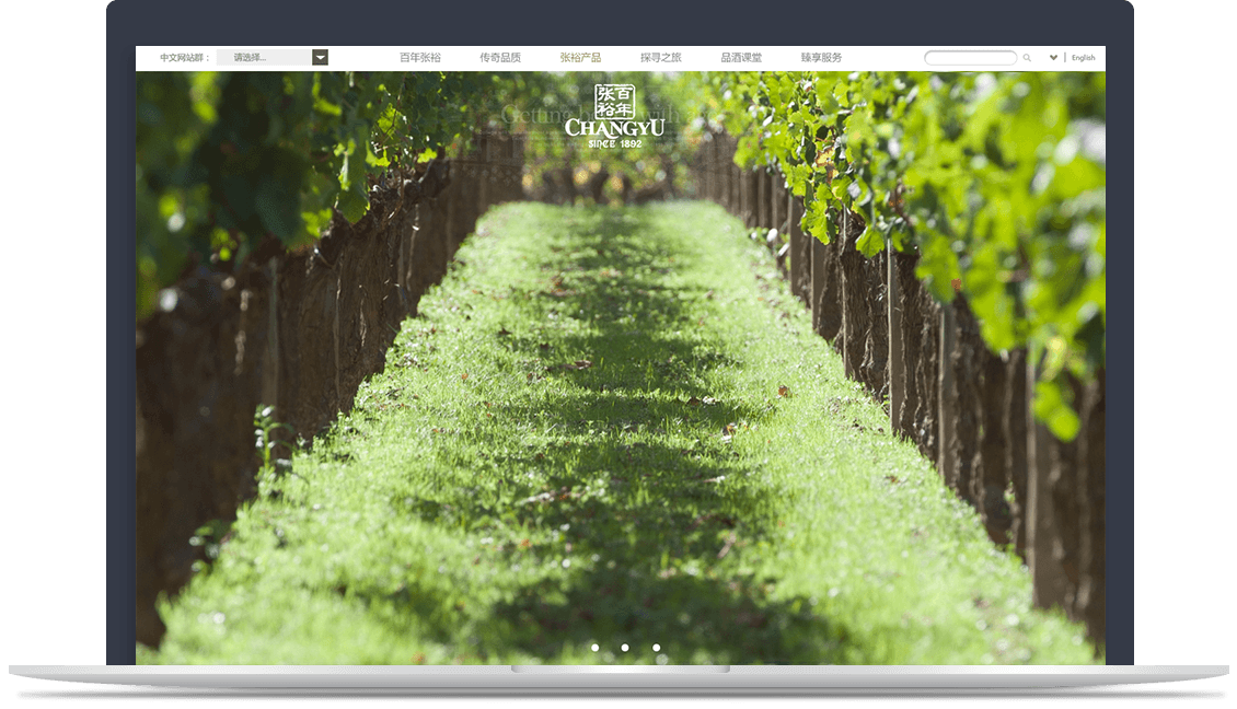 張?jiān)＜瘓F(tuán)官網(wǎng)