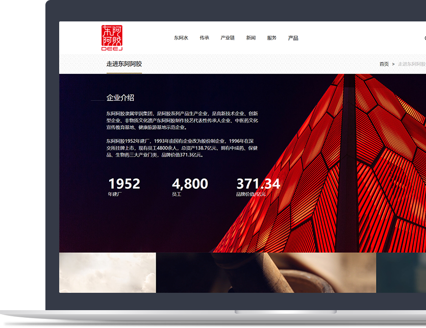 企業(yè)官方網(wǎng)站設(shè)計說明